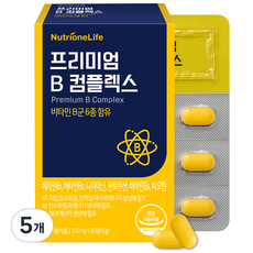 뉴트리원 프리미엄B 컴플렉스 비타민B, 5개, 15g