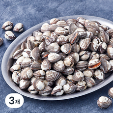 아라보감 산지직송 생물 새꼬막 (냉장), 3개, 2kg