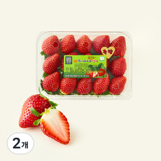 제이드가든 GAP 인증 대숲맑은 담양 죽향 딸기, 2개, 500g(중과)