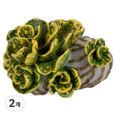 모모스 아우리쿨라리아 해삼류의 애벌레 피규어, 2개