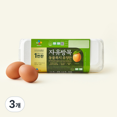 CJ 동물복지 인증 자유방목 유정란 1번란 520g, 3개, 10구 3개, 10구