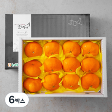 귤로장생 당도선별 레드향세트, 3kg(8~15입), 6박스