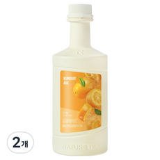 네이쳐티 금귤에이드, 1.2kg, 2개