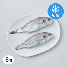 다미원 영광 백굴비 2미 (냉동), 6개, 220g