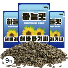 하늘펫 해바라기씨, 500g, 9개
