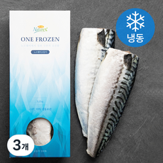 앤쿡 ONE FROZEN 노르웨이 고등어 (냉동), 3개, 525g
