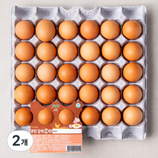 조인 갈색대란, 30구, 2개