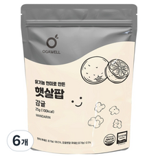 오가웰 유기농 현미로 만든 햇살팝, 감귤, 25g, 6개