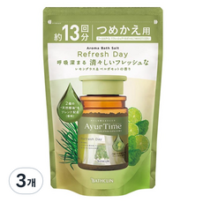 바스크린 아유르타임 리프레시데이 리필용, 3개, 520g