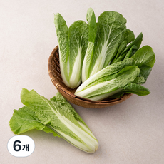국내산 예냉 솎음, 300g, 6개