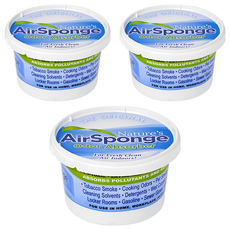 NATURE'S AIR SPONGE 芳香劑, 454g, 3入