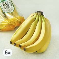 팜앤푸드 에콰도르산 고당도 바나나, 6개, 1.2kg