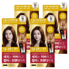 엘라스틴 살롱 드 컬러 앤 새치 염색 크림, 밝은갈색, 4개