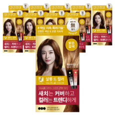 엘라스틴 살롱 드 컬러 앤 새치 염색 크림, 밝은갈색, 10개