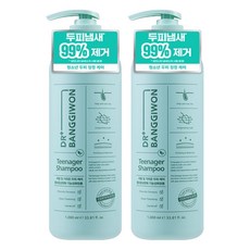 닥터방기원 탈모증상완화 틴에이저 샴푸, 1L, 2개