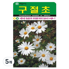 아람종묘 구절초 꽃 씨앗 1000립, 5개