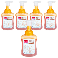 Muse 抗菌慕斯洗手泡 果香, 250ml, 5瓶