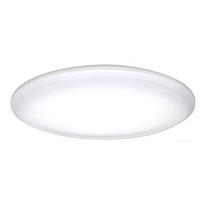 IRIS OHYAMA 愛麗思歐雅瑪 LED圓盤吸頂燈, 其他色, 1個