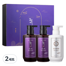 댕기머리 진기 샴푸 500ml x 2p + 트리트먼트 500ml 세트, 2세트