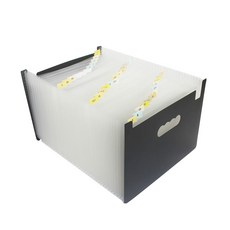 Sebox 37層風琴文件夾, 半透明, 1個