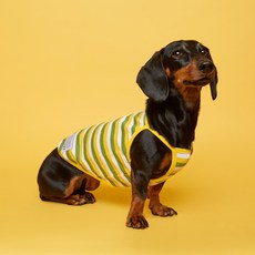 Flot 清新無袖狗狗裝, 黃配綠