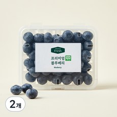 프리미엄 유기농 블루베리 대과, 200g, 2개