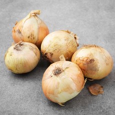 유기농 양파, 1.5kg, 1개