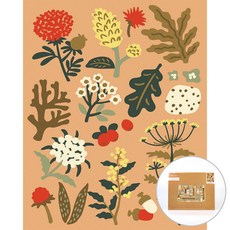 ARTJOY DIY數字油畫 植物管家筆記 A 40 x 50 cm, 淡橘色, 1個