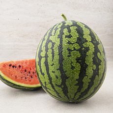 곰곰 산지직송 당도선별 수박 (11 brix 이상), 5kg 이상, 1개