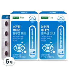 건국유업 눈건강 루테인 솔루션 미니 9g, 60정, 6개