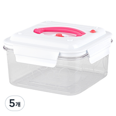 이지앤프리 에어제로 진공 밀폐용기, 5개, 1.7L
