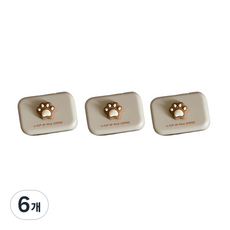 오픈스페이스 여행용 곰발바닥 렌즈케이스 패키지, 베이지, 6개