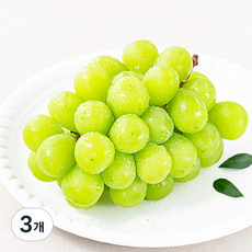 모서랑 농협 GAP 인증 샤인머스켓, 450g, 3개
