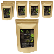 해밀생활건강 황칠잎차, 1.2g, 30개입, 6개