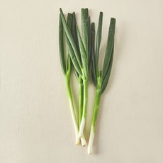 국내산 친환경 중파, 300g, 1개
