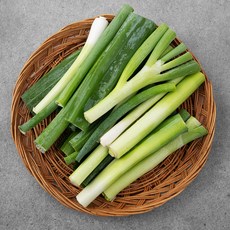 유기농 절단대파, 500g, 1봉