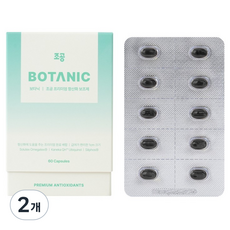 조공 반려동물 보타닉 영양제, 60정, 면역/항산화, 2개
