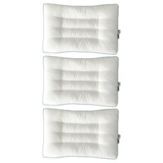 Modern House Swell 防蟎抗敏飯店級類羽絨低款頸椎枕, 3個, 白色