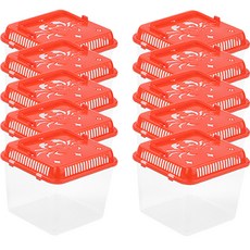 濕地螃蟹收集觀察箱 S號, 10個, 隨機發貨（蓋）