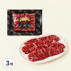 미국산 프라임 살치살 구이용 (냉장), 300g, 3개