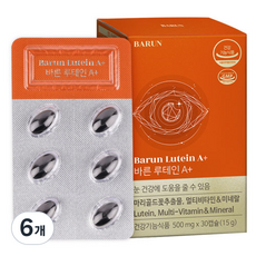 건강한약속바른 루테인 A+ 눈건강 베타카로틴 영양제 15g, 30정, 6개