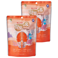 올리브락토앤 반려동물 황태 육수에 연어 파우치 스틱 간식 20p, 2개, 280g