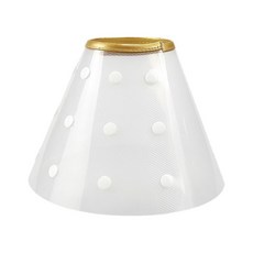 Dingdong Pet 寵物暗扣式防舔咬頭套, 透明色, 1個