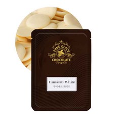 파베글라스 루미에르 컴파운드 코인 코팅 화이트초콜릿, 1kg, 1개