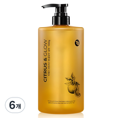 TS 시트러스 앤 글로우 샴푸, 1kg, 6개