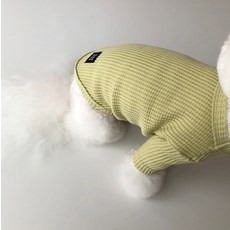 MAGDOG 羅紋寵物衣服, 綠色