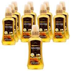 高麗人蔘洋槐蜂蜜, 500g, 10個