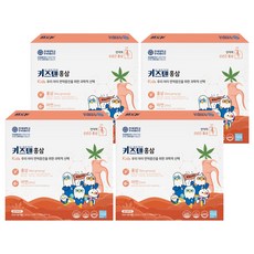키즈텐 홍삼, 600g, 4개