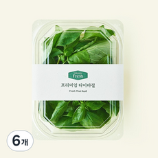 프리미엄 타이바질, 15g, 6개