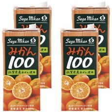 JA 佐賀 蜜柑濃縮果汁, 4個, 1L